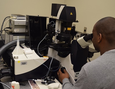 A researcher uses the SP8 confocal microscope